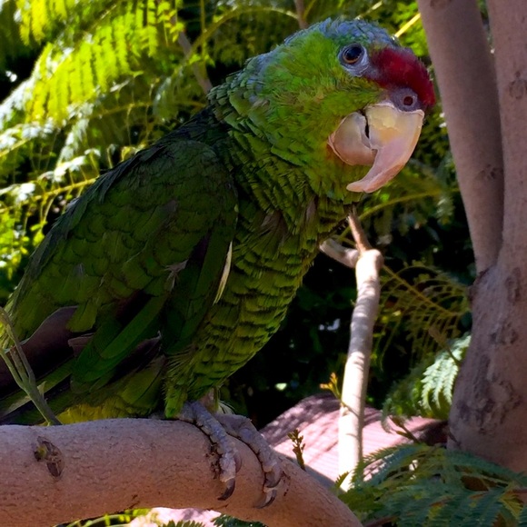 💞 HELLO! Javi Loves Visitors!💞 - Picture 2 of 3